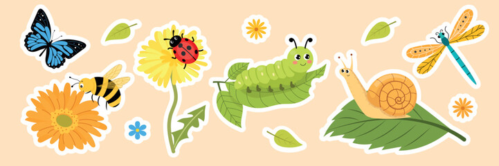 Cute insects sticker pack, funny garden bugs vector stickers collection with butterfly, bee, snail, caterpillar and ladybug. © Nadiia