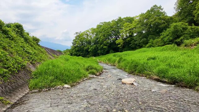 緑豊かな山々と渓谷を流れる清流が美しい日本の自然風景素材