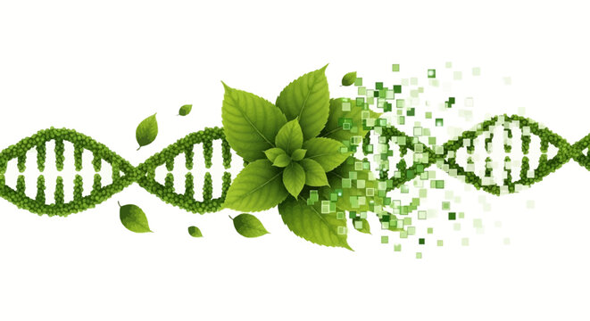 Genetic engineering concept with DNA double helix made of green leaves and pixels on white background vector