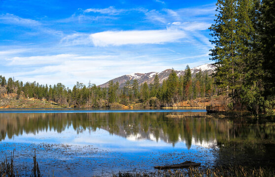 Mendocino National Forest Landscape 