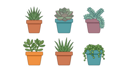 Fototapeta premium Succulent plants, potted cacti, vector icons, colorful illustrations, garden elements, decorative plants isolated on White Background vector eps silhouette