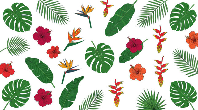 Tropical floral pattern, colorful leaves and flowers, exotic botanical design, vector illustration isolated on White Background vector eps silhouette