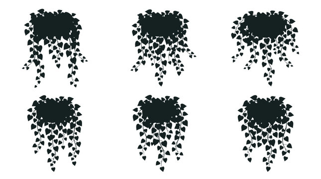 Collection of six different hanging ivy plant silhouettes each forming a dense leafy curtain for garden design,vector eps.