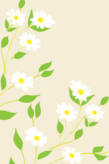 Fototapeta premium Daisy Floral Border Background with Copy Space and Wildflower Branches