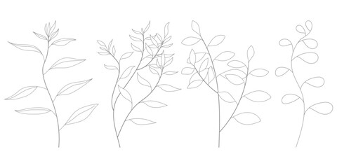 Fototapeta premium botanical element collection featuring elegant leaf line art vector illustrations