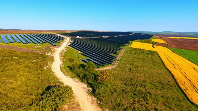 Winding dirt road through a solar farm with rapeseed fields. Aerial perspective of fenced panel rows, green shrubs and yellow crops on flat terrain.