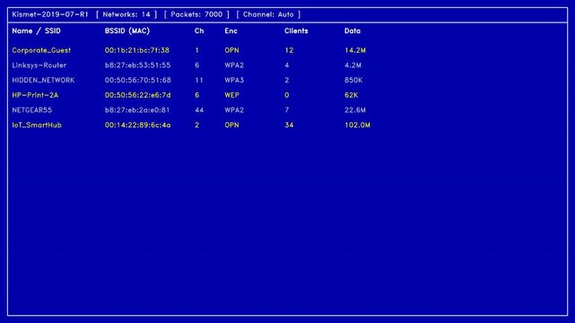 Kismet Wardriving Wireless Network Sniffer Terminal UI Finding Hidden Wi Fi Networks Cyber Surveillance B Roll For Information Security Auditing Threat Detection Penetration Testing And Intelligence