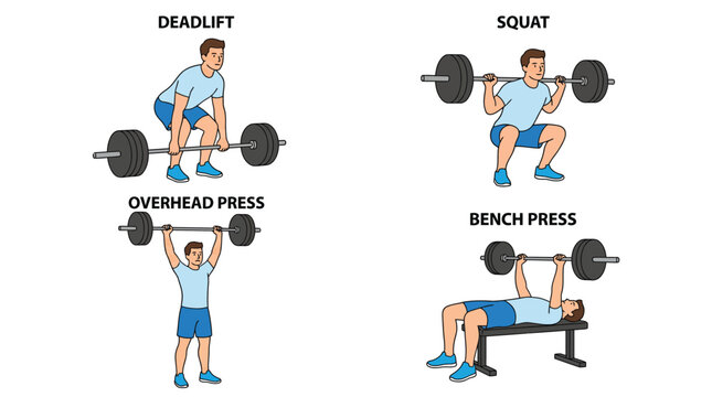 Vector graphic illustration Man doing squat deadlift overhead press and bench press with dumbbells