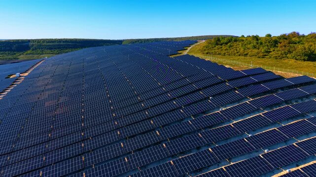 Dense photovoltaic array covering a hilltop with forest border. Diagonal aerial view of dark panel rows on undulating ground with green tree line and blue sky.