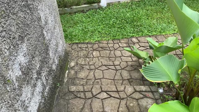 Walking Down the Garden Path. Indonesia, May 20, 2026