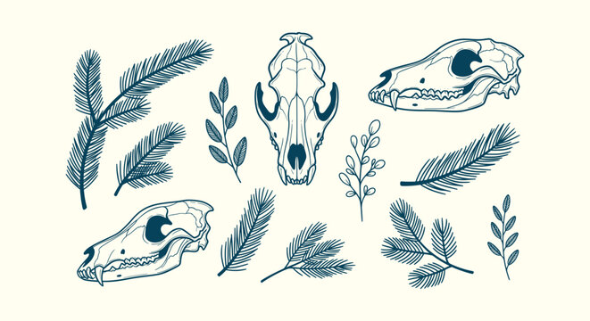 Mystic Forest Line Art Vector Set Featuring Animal Skulls Pine Needles and Foliage for Designers.