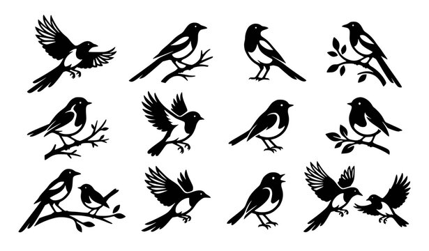 Minimal bird logo collection magpie robin silhouette vector isolated on white