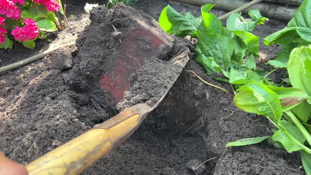 Removing a brick from the garden earth close up