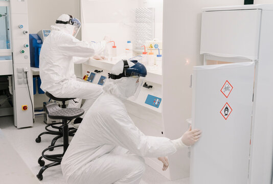 Two scientists working in laboratory