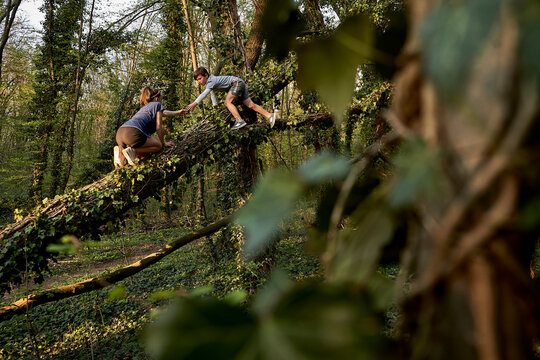 Boy helping sister climbing on tree in forest
