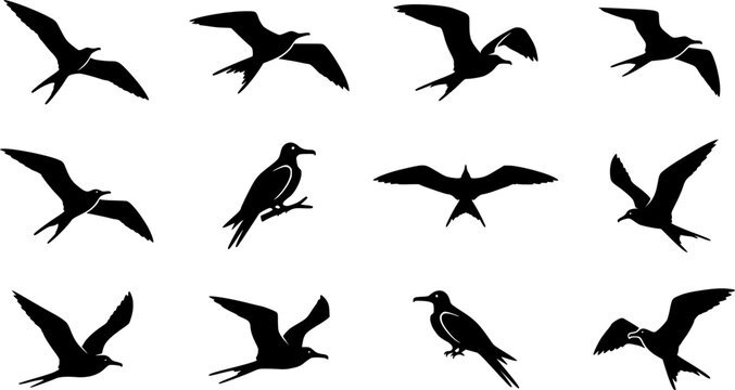 Great frigate silhouette icon set, flat black glyph style, pure white background