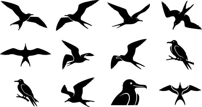 Great frigate silhouette icon set, flat black glyph style, pure white background