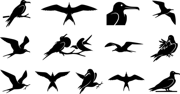 Great frigate silhouette icon set, flat black glyph style, pure white background