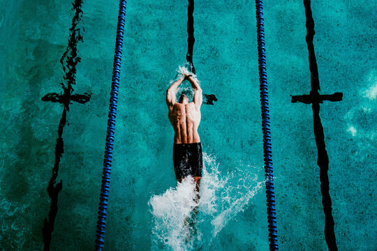 Male professional swimmer doing backstroke in swimming pool