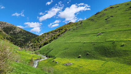 Tamdere Stream flows through the lush pastures of Giresun, Turkey, surrounded by forested hills and green valleys, forming part of the Aksu River watershed. © cilicia