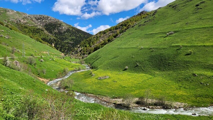 Tamdere Stream flows through the lush pastures of Giresun, Turkey, surrounded by forested hills and green valleys, forming part of the Aksu River watershed. © cilicia