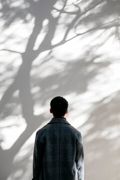Back view of man looking on wall covered with shadows of a tree