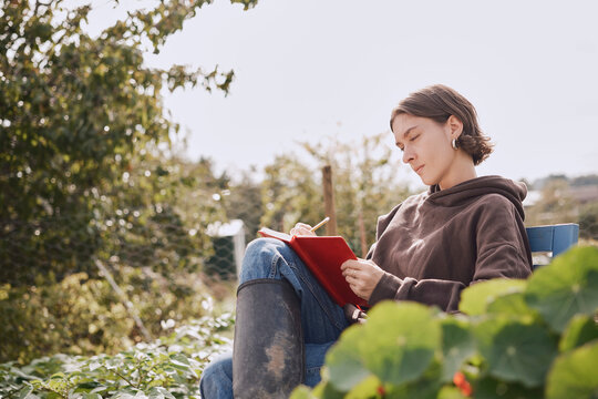 Person writing in red notebook on allotment vegetable patch outdoors