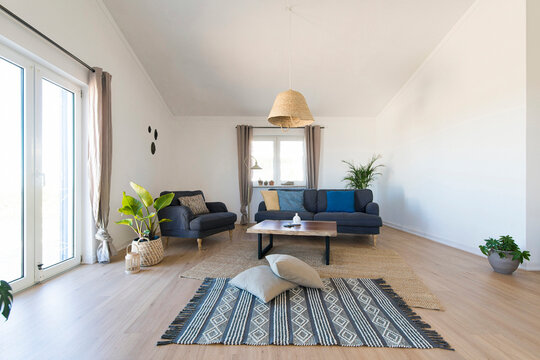 Modern cozy living room