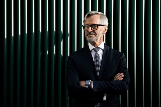 Portrait of grey-haired businessman in front of green wall