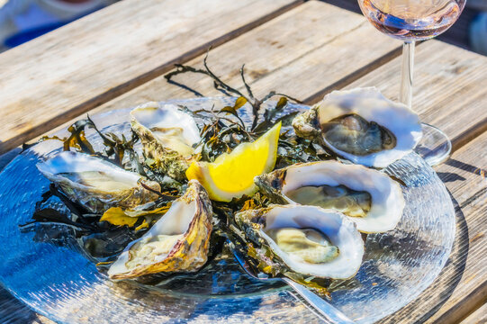 Netherlands, Zeeland, Yerseke, Fine de Claire oysters