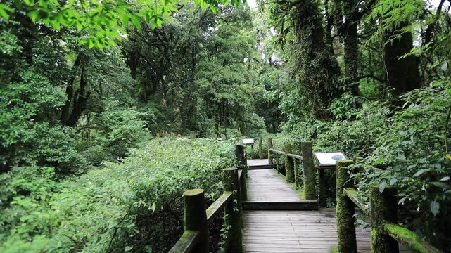 A nature-themed video background from a high mountaintop, offering panoramic views of the surrounding landscape, mist, trees, sunset, and cool, refreshing air during an adventurous travel experience.