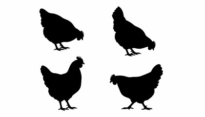 Black chicken silhouettes, vector chicken icons, poultry illustrations, farm animal graphics © Sydney