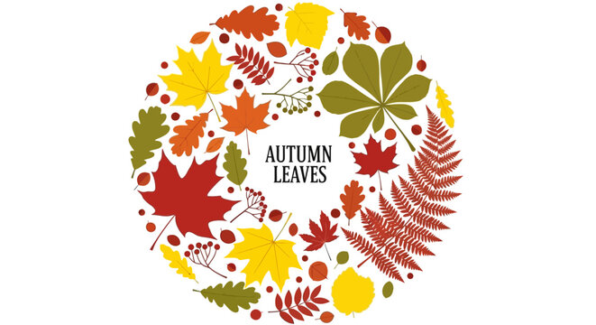 Autumn leaves, fall foliage, colorful vector icons, seasonal graphics, 1 circular design