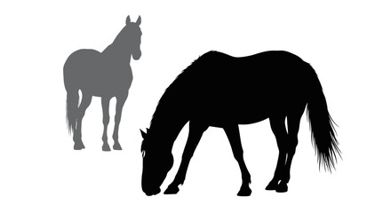 Fototapeta premium Horse silhouettes, black and gray, grazing and standing, vector icons, equine illustrations, animal graphics