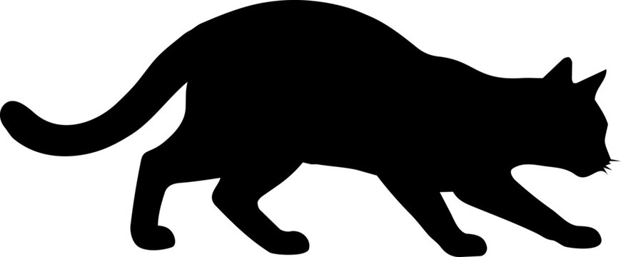 Cat walks forward with a stealthy posture that highlights its predatory nature and agile movement for use in animal behavior studies or creative artistic projects focused on feline anatomy.