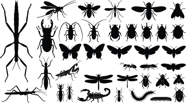  Insects silhouettes mega bundle black vector icons set with butterfly beetle bee ant spider scorpion isolated on white background