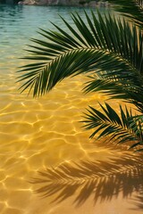 Fototapeta premium Tropical palm leaves over golden shallow water background for summer wallpaper and banner design