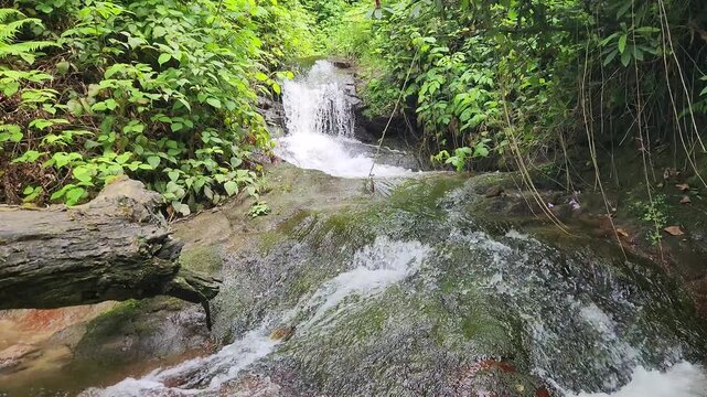 A small stream flows through a hazelnut orchard on the steep slopes of T&uuml;rkiye&rsquo;s Eastern Black Sea Region, where mountain spring waters create peaceful cascades and lush natural scenery.