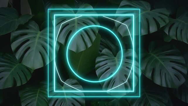 Abstract Neon Cyan Geometric Frame Over Tropical Monstera Leaves Background