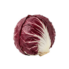 Obraz premium Whole radicchio plant