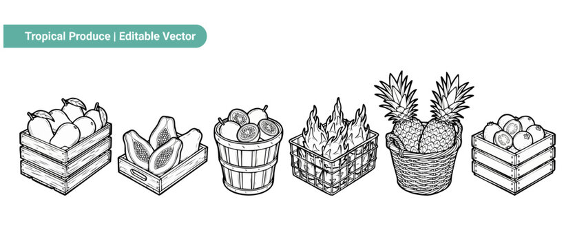 Tropical fruit vector outline icons arranged in wooden crates and baskets for market display isolated on white background for clean minimalist design, coloring page illustration graphic clipart setup.