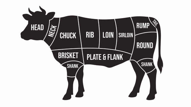 Cuts of beef labeled on cow.
