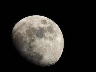 Luna © Steve Fossiant