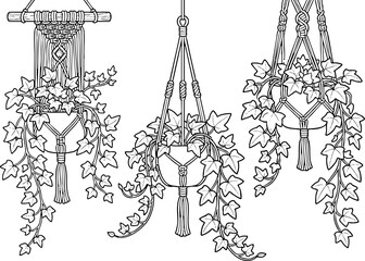 Fototapeta premium Macrame Plant Hangers with Ivy Line Art Illustration