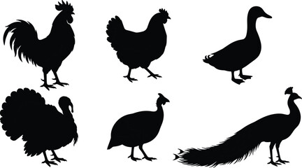 Obraz premium Farm Poultry Bird Silhouette Collection Featuring Rooster Hen Duck Turkey Guinea Fowl and Peacock Set
