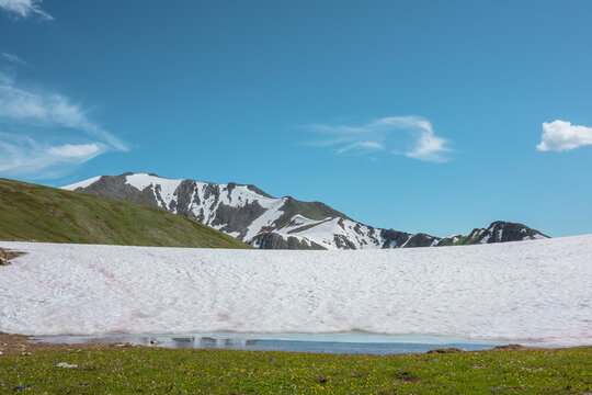 Flowering grassy meadow under wide snow-white snowfield against big rocky ridge in sunny day under clouds in blue sky. Melting glacier, green hill and sharp rock wall with white snows in bright sun.