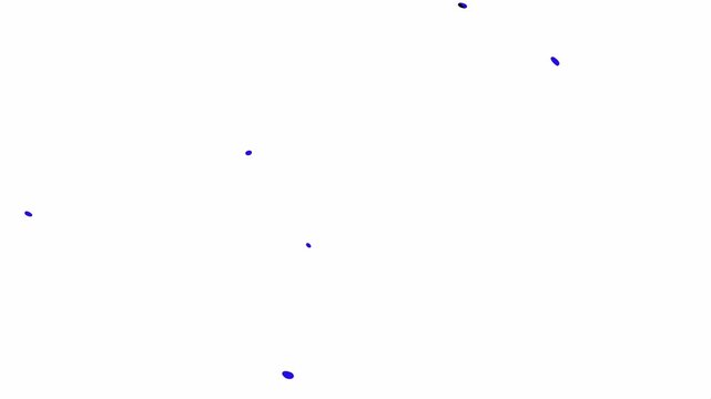 Liquid wave transition animation with transparent background