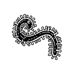 Fototapeta premium Black and white illustration of coronavirus virus with spike proteins detailed view