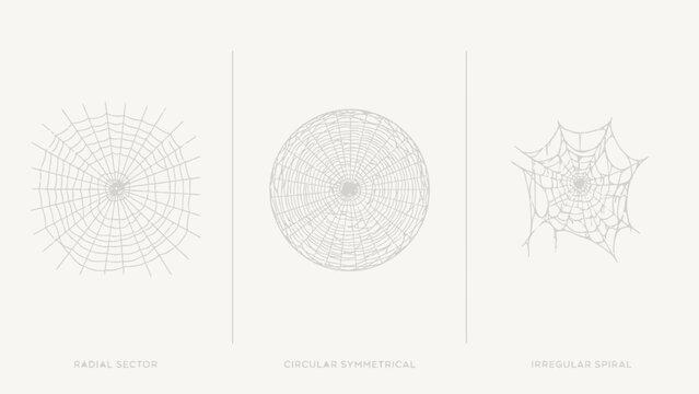 Three geometric vector patterns showing radial sector, circular symmetrical, and irregular spiral designs