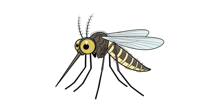 Colorful cartoon mosquito with large yellow eyes and a long proboscis shown from a side profile perspective on a clean white background.